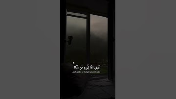 [سورة النور: 35]  القارئ شريف مصطفى