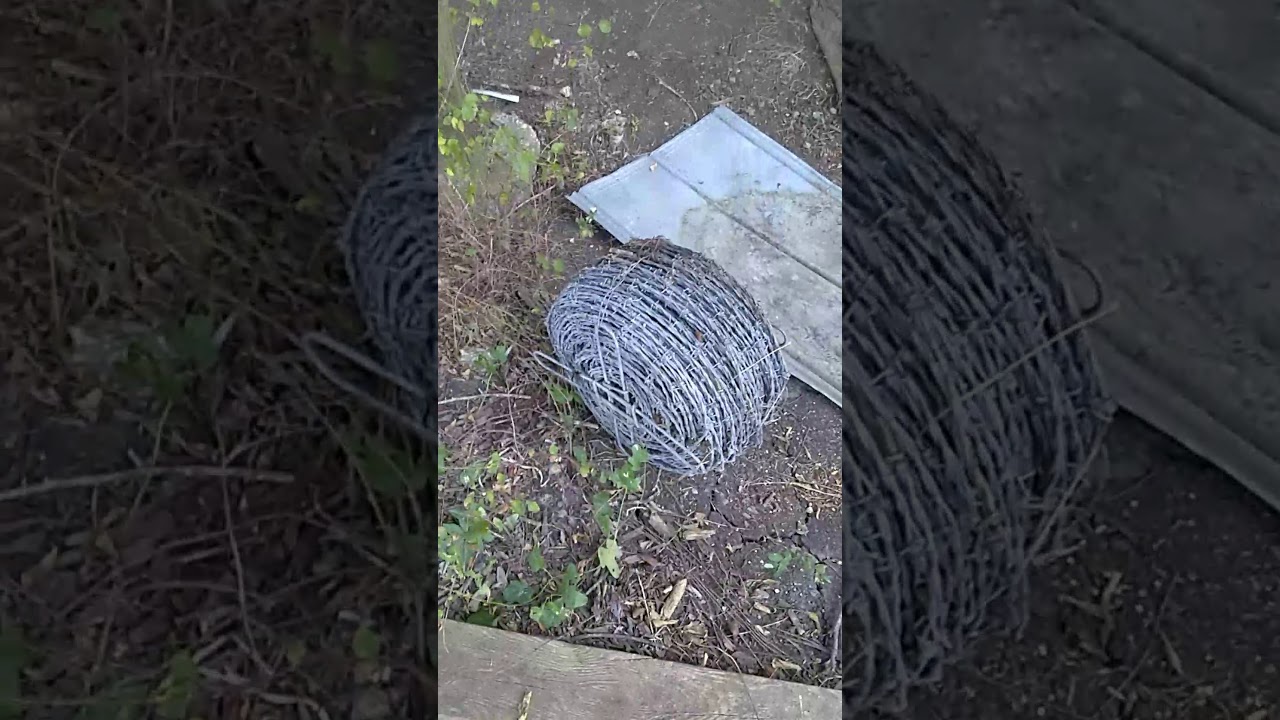 camera iphone 8 plus apk I found a few spider s sorry guys