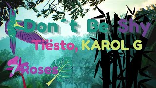 🌿🌴Tiësto, KAROL G - Don´t Be Shy (Lyrics)🌾🍃