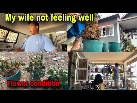 My wife not feeling well 😨|| Flower condition getting worst 😥|| Family Vlog 🙏🧿