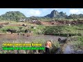 Terpesona...Aku Terpesona Oleh Keindahan Sawah Lereng Bukit Talegong Garut