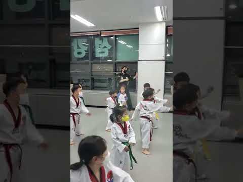 섬강태권도