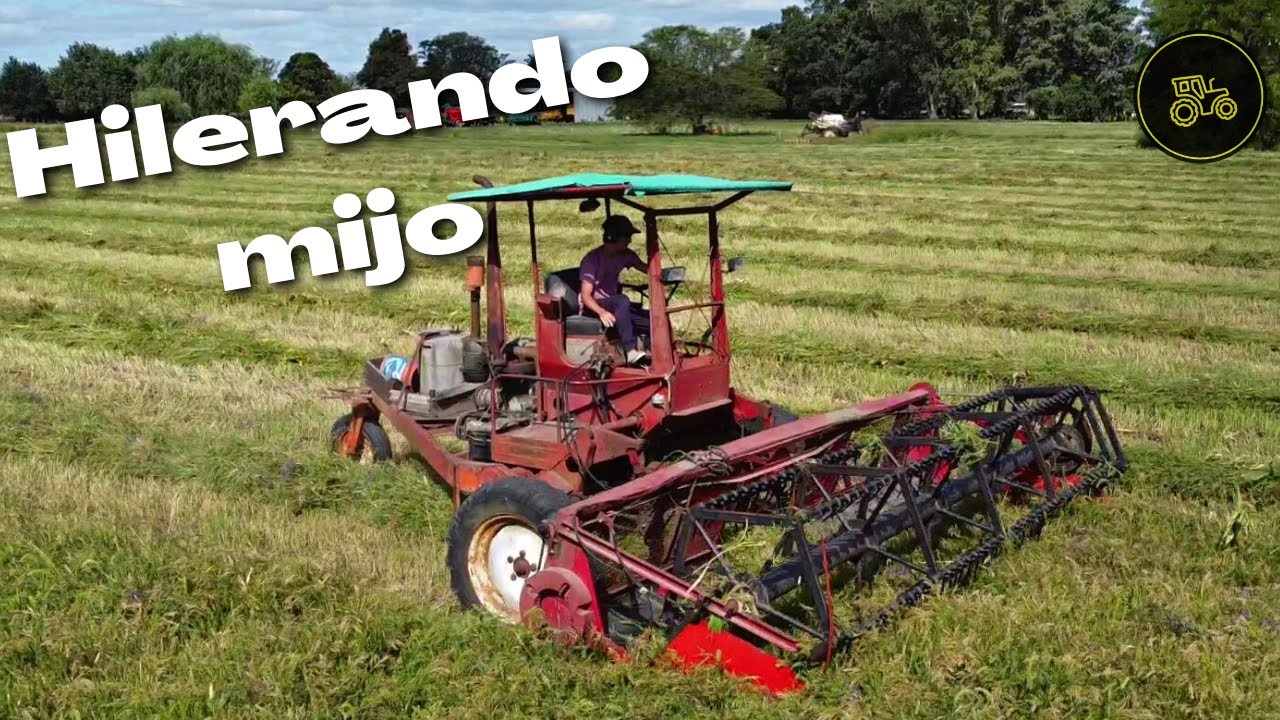 retomando las tareas!