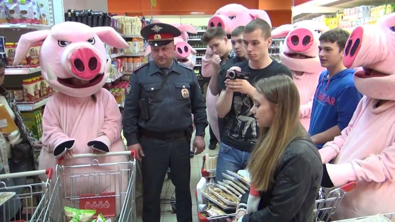 хрюши против. светлана васильева хрюши против в купальнике. хрюши против сестры васильевы. хрюши против 2023. хрюши против.