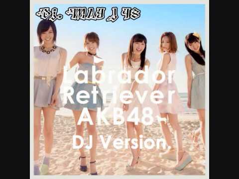 DJ. May J 48 - AKB48 [Labrador Retriever DJ Ver.]