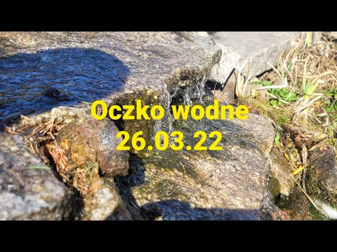 557#. Oczko wodne 26.03.22