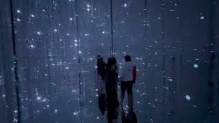 teamLab Planets Tokyo - immersive art exhibit