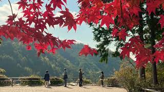 神護寺の紅葉🍁AIが編集した僕の写真　Kyoto,JAPAN