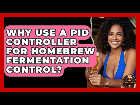 Why Use A PID Controller For Homebrew Fermentation Control? - The Pint Guy