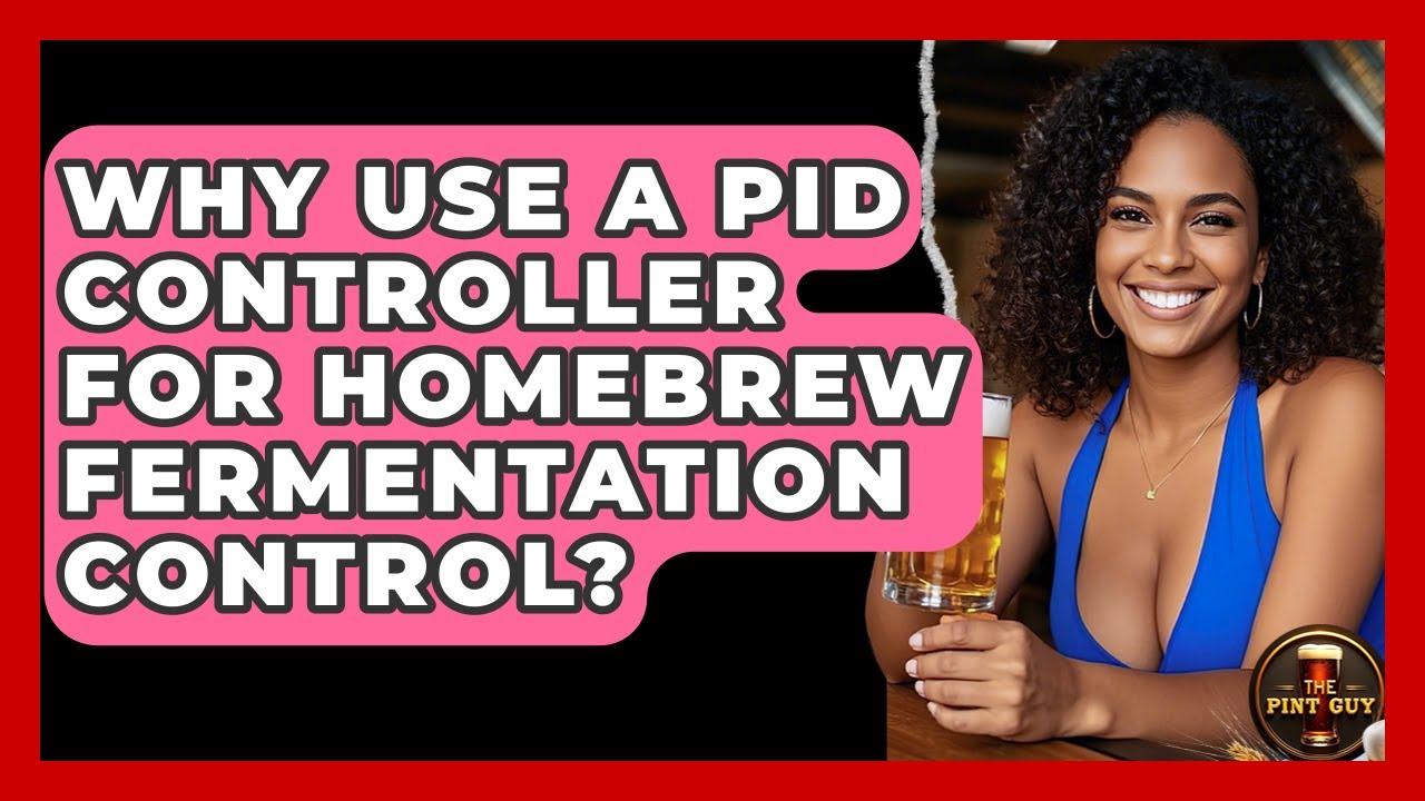 Why Use A PID Controller For Homebrew Fermentation Control? - The Pint Guy