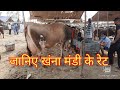 Pashu mandi khanna।15.4.2021. cross breed and hf cows for sale at pashu mandi khanna।Talwar sowaddi।