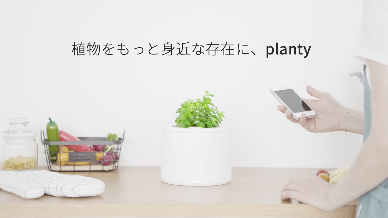 家庭菜園をはじめてみたい、でも枯らしてしまわないか心配