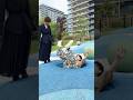 雑誌表紙撮ってみた