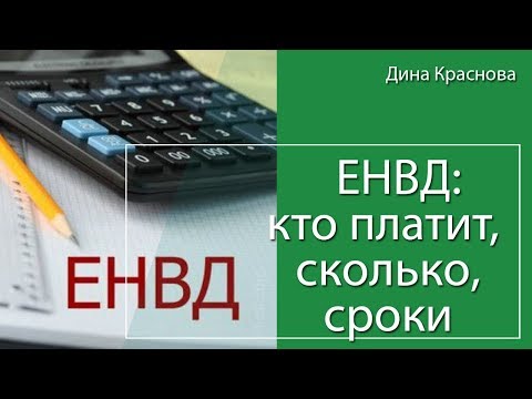 Единый налог на вмененный доход (ЕНВД)