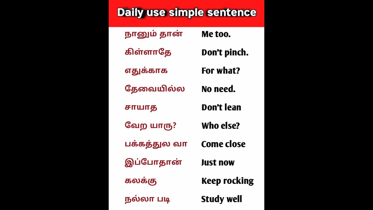  Daily Use Simple Sentence Spokenenglish Englishspeakingpractice Shortsfeed Shortsvideo