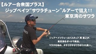 【ルアー合衆国プラス】ジップベイツ“サワラチューン”ルアーで狙え！！東京湾のサワラ