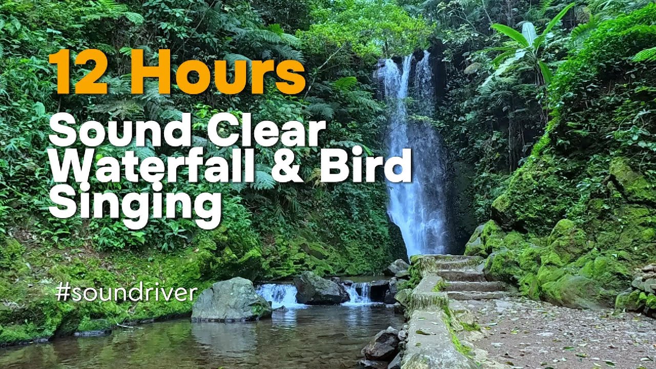 12 Hours Sound Of Waterfall & Forrest Bird Tropical For Sleep Study # ...