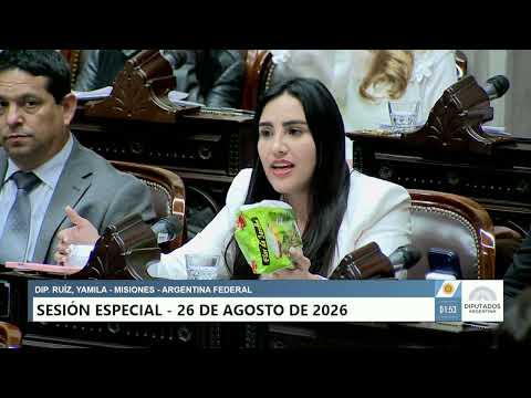 Representative Ruíz, Yamila - FEDERAL ARG. - Session 08/26/2026 - BILL