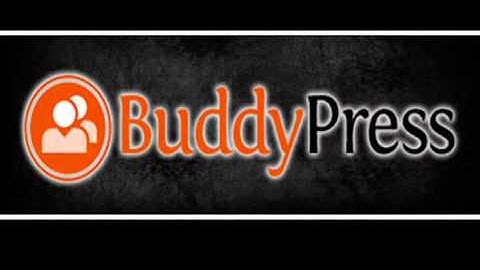 Crowdfinch BuddyPress Development Services