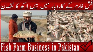 My fish farm Business in Pakistan 2024 Profit and loss