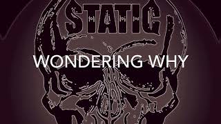 Static Fly Wondering Why