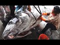 850 Lbs Giant Bluefin Tuna Perfectly and Precisely Cut
