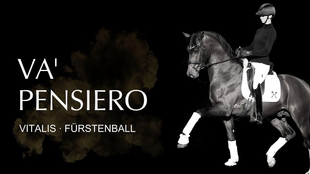 VA' PENSIERO mit Hannah Laser anlässlich der Privathengstschau in Verden 2020