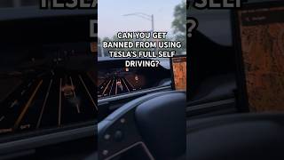 Can you get banned from #Tesla full self driving #teslamodels #teslafsd #teslamodel3