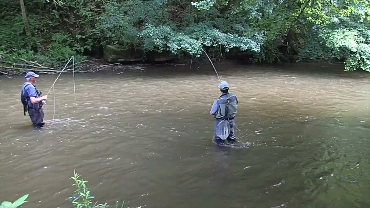 Fly Fishing - the Kyll - Germany July 2021
