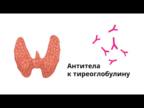 Антитела к тиреглобулину и другие маркеры тиреоидита