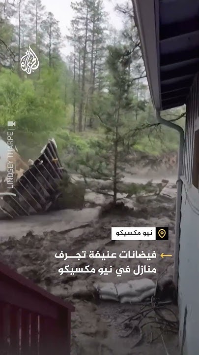       
 - نشر قبل 12 دقيقة