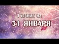 Гадание на 31 января 2022 года. Карта дня. Таро Магических собак.