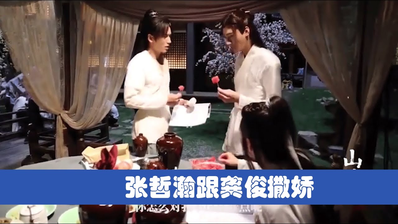 龚俊ぬいぐるみ 张哲瀚ぬいぐるみ 橘子皮ぬいぐるみ 栀子花　浪浪钉 山河令 龚俊 張哲瀚 ぬいぐるみ 11（龚俊ぬいぐるみ服 张哲瀚ぬいぐるみ