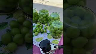 Alça Turşusuşuyapımı