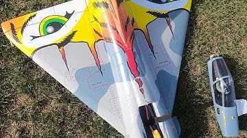 How NOT to hand launch an RC Jet WTF!!!!!