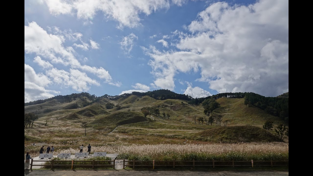 砥峰高原すすき