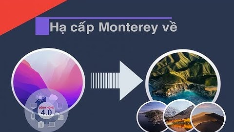Hướng dẫn Downgrade (hạ cấp) từ macOS 12 Monterey xuống MacOS thấp.