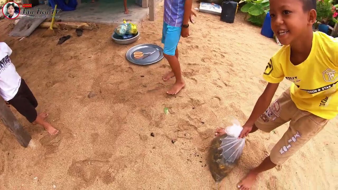 Hải sâm tươi bao nhiêu tiền 1kg