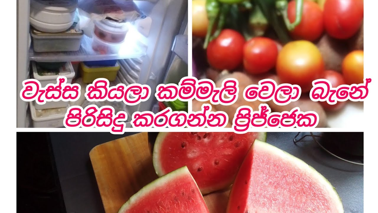 🥰Nilu My Chanal 🥰 පිරිසිදු කර ගත්ත ප්‍රිජ්ජෙක හා මන් වගා කරපුවා 🌶️🫑🌶️🌶️