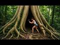Full Video: Building a Hidden Survival Shelter Inside a Giant Tree From Scratch