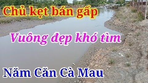 Bán Gấp Vuông Tôm Năm Căn Cà Mau, Vuông Đẹp Khó Tìm, Nỡ Hậu