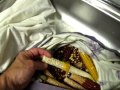 How to shell corn with a dryer