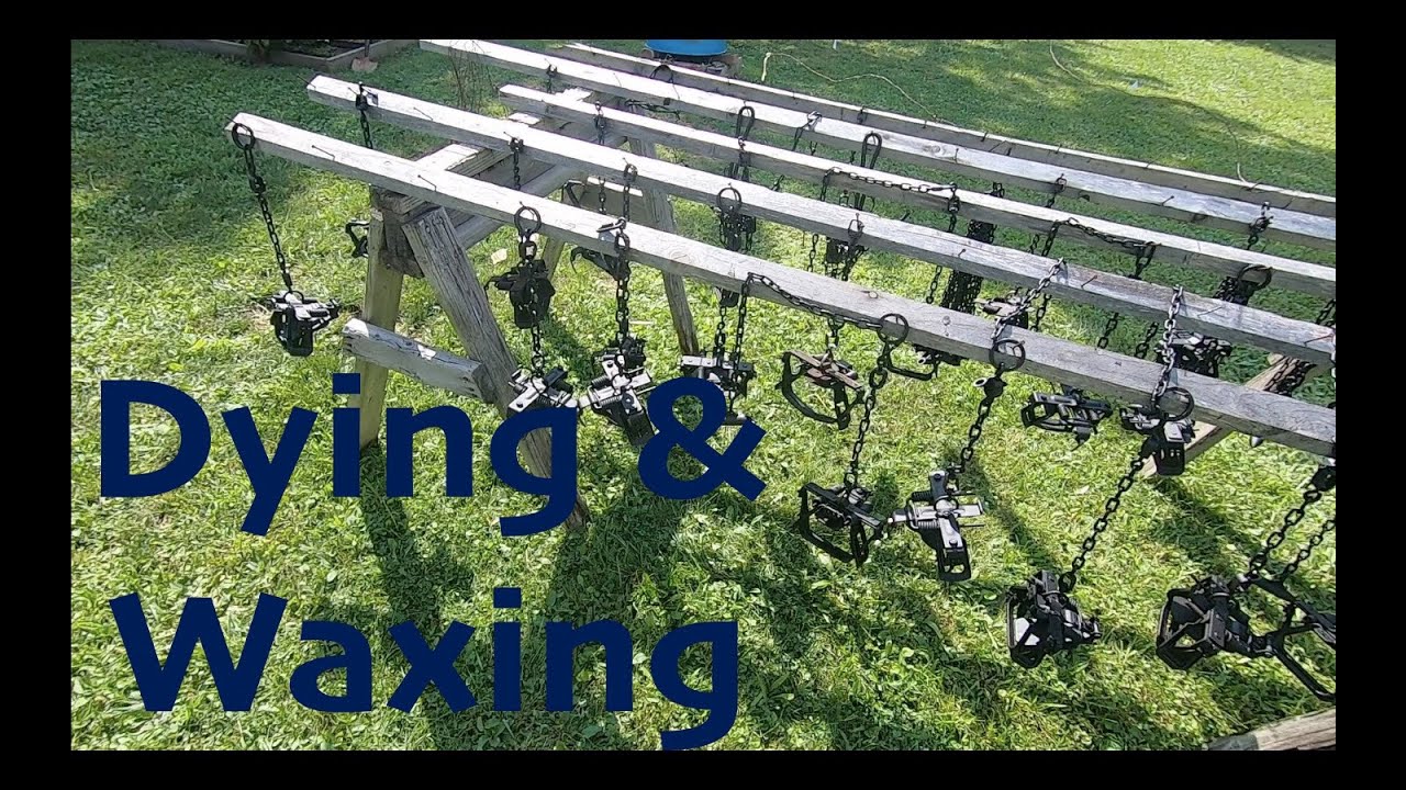 trapping-coyotes-fox-2021-22-preseason-4-coyotetrapping-foxtrapping