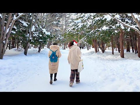 Afternoon Snow Walk in Sapporo || Hokkaido, Japan 🇯🇵 | Relaxing Winter Ambience【4K Spatial Audio】