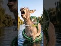 La serpiente y el burro: la bondad sin límites puede costar caro