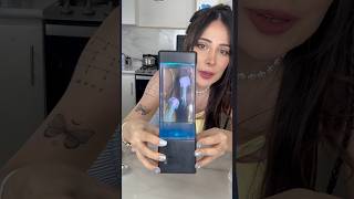 Amamos las medusas bebés #fantasia #jellyfish #medusas #juguetes #asmr