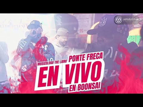 PONTE FRECA - Musicologo The Libro en vivo en Boonsai Los Alcarrizos | Aparataje Playlist LIVE 🔴 🎵