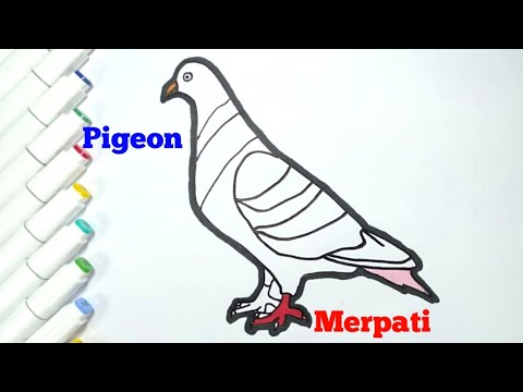 67 Gambar Burung Merpati Kartun Berwarna HD Terbaru