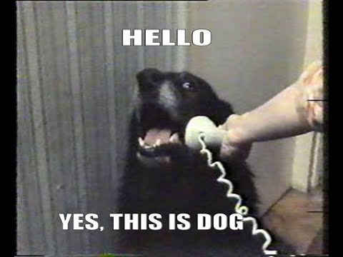 This meme is funny :)