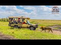 A Complete 10 day Itinerary For International Tourists Visiting Kenya